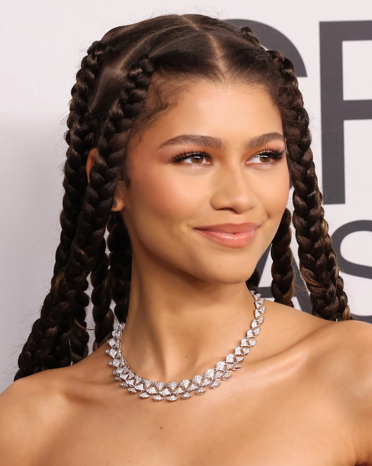 box braids penteados fáceis
